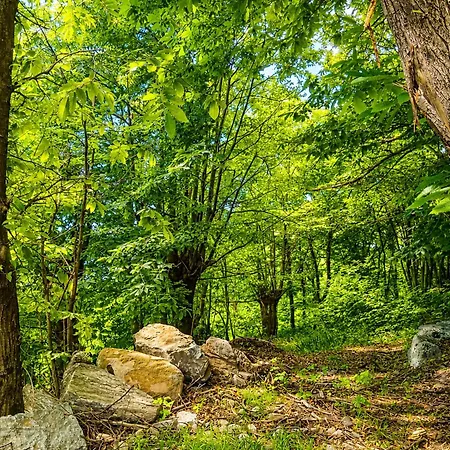 Rustico Della Quiete *