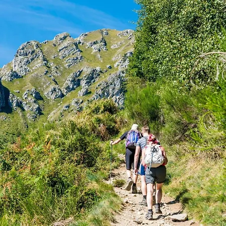 Rustico Della Quiete Hébergement de vacances